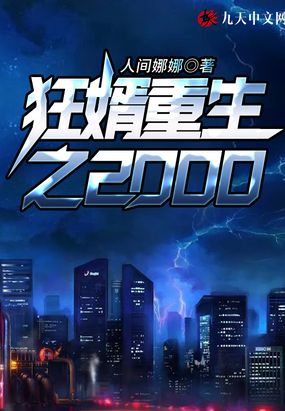 狂婿重生之2000