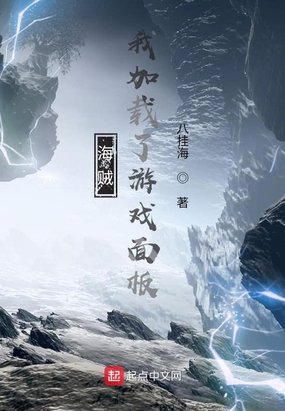 海贼我加载了游戏面板