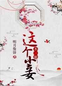 这个小妾不一般