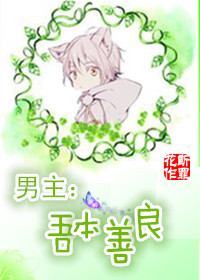 男主：吾本善良系统